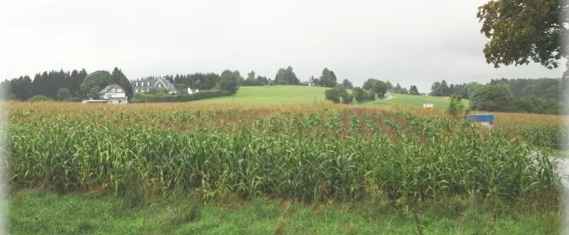 Blick über das Grundstück am Feldrand